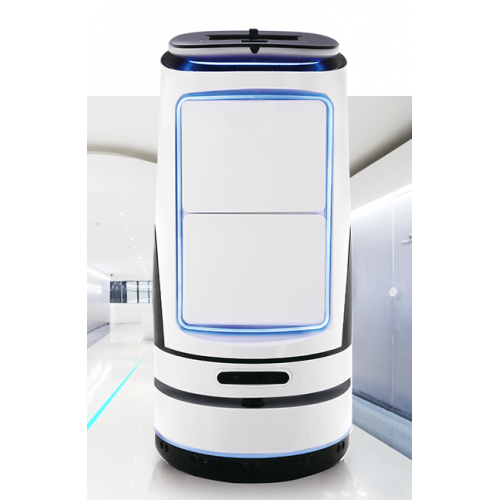 Artificial Intelligence Delivery Robot